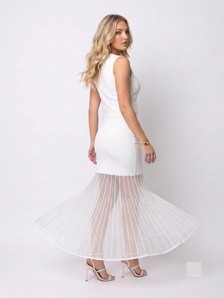 Modern Dolce & Gabbana Crop Top & Sheer Mermaid Skirt Set
